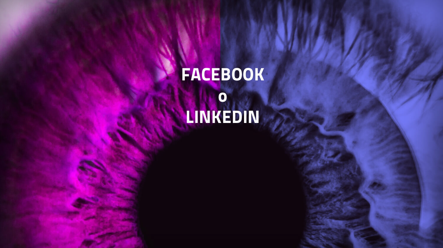 Facebook meglio di Linkedin per il B2B